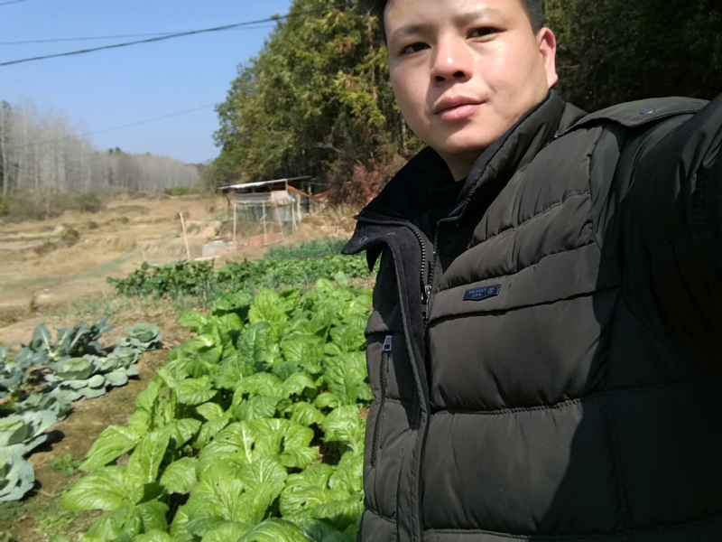 倔强的驴的第一张照片--昆山蓝颜知己交友网